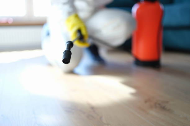 Best HVAC Mold Inspection and Cleaning  in San Antonio Heights, CA