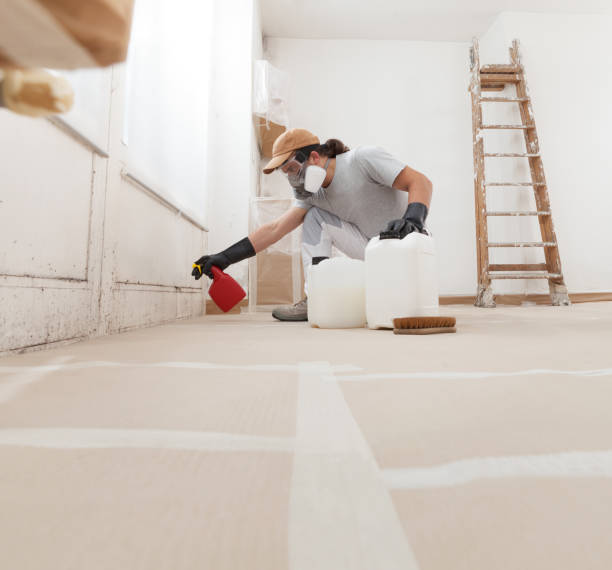 Best Biohazard Mold Removal  in San Antonio Heights, CA